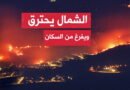 الكاتب الإسرائيلي “ياعوز سيبر”: “لدي أخبار سيئة لكم لقد خسرنا الحرب”!