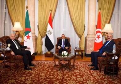 هل من دورٍ فاعلٍ لدول الجوار لحلِّ الأزمةِ الليبيةِ؟