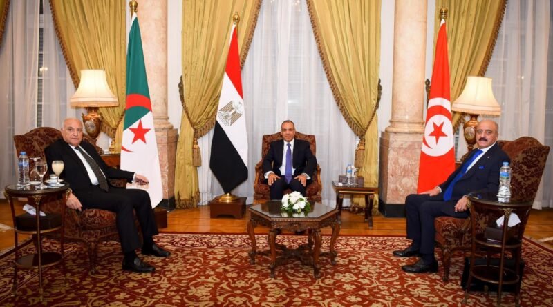 هل من دورٍ فاعلٍ لدول الجوار لحلِّ الأزمةِ الليبيةِ؟