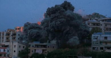 تجميد أعمال لجنة الميكانيزم.. الأهداف والمخاطر