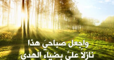 تسكنُ النبضَ حميماً