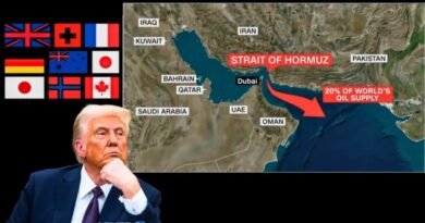 تحالف عسكري لفتح مضيق هرمز.. الرئيس الأمريكي يفشل في حشد الحلفاء