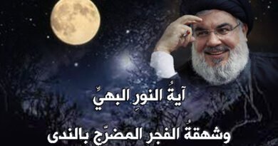 آيةُ النورِ البهيِّ إلى سماحة السيد حسن نصر الله قدس سره