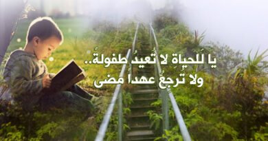 كأنْ غابتِ الشمسُ إلا قليلا..‏