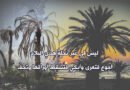 نخلةُ البلاد.. البلاد التي مزّقتني