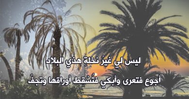 نخلةُ البلاد.. البلاد التي مزّقتني