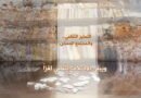 التمايز الثقافي.. والمجتمع الممكن
