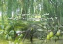 رحيلُ النهار