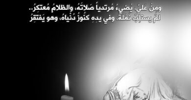 سنلتقي.. والهوى لنا قَدَرُ‏