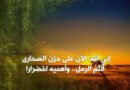 سيدي الشمعةُ والضبابْ