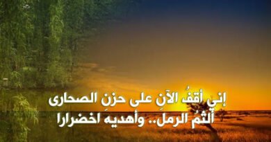 سيدي الشمعةُ والضبابْ