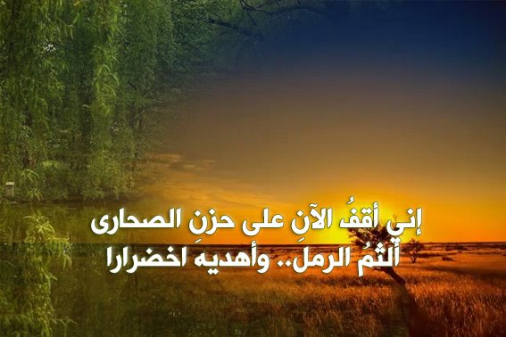 سيدي الشمعةُ والضبابْ