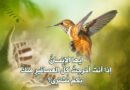 أيها الإنسان..