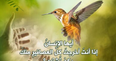 أيها الإنسان..