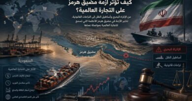 كيف تؤثر أزمة مضيق هرمز على التجارة العالمية؟..
