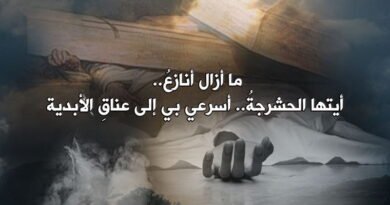 كيف أتوكأُ على نفسي وهي مشلولةٌ؟!