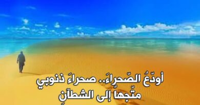 عاصفة الضّياع