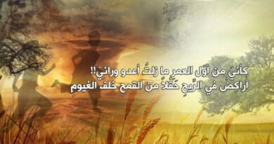 كأنْ غابتِ الشمسُ إلا قليلا..‏